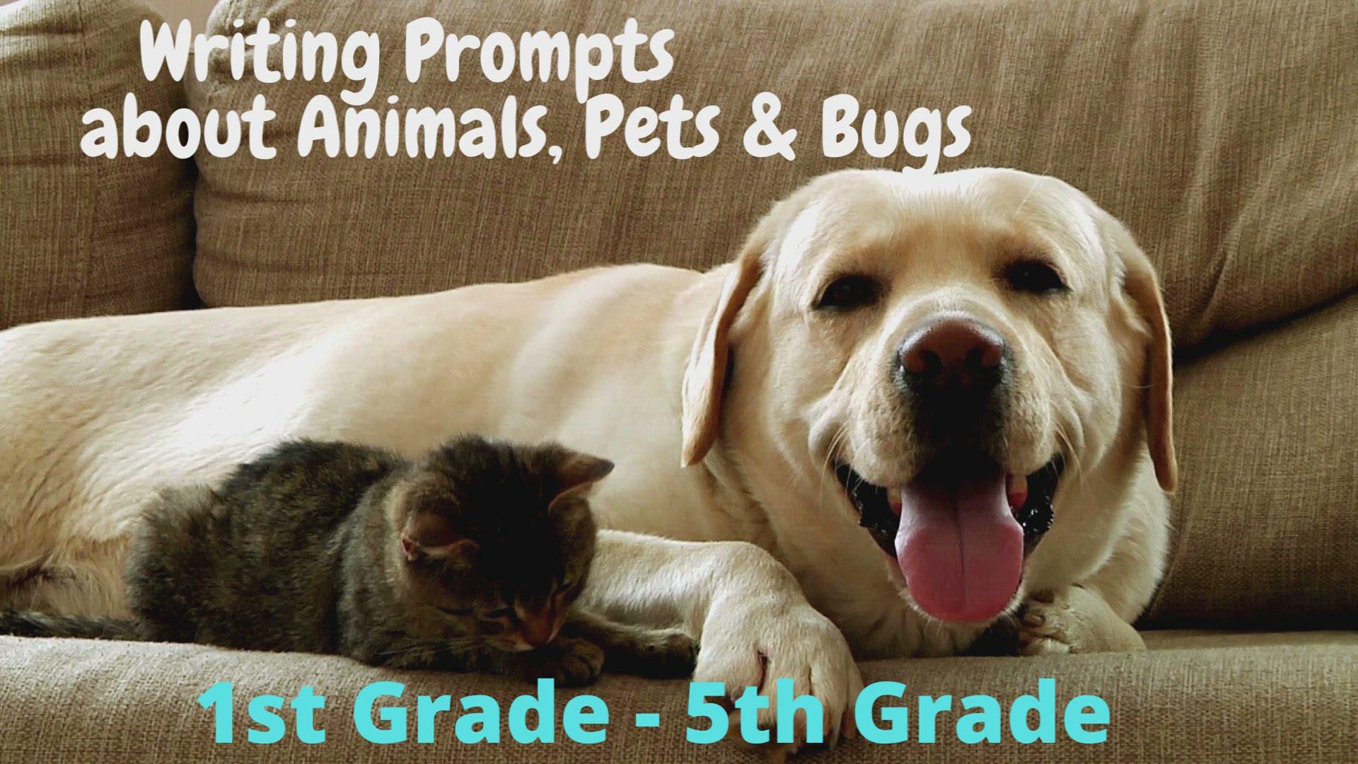 'Video thumbnail for Writing Prompts on Pets, Animals & Bugs'