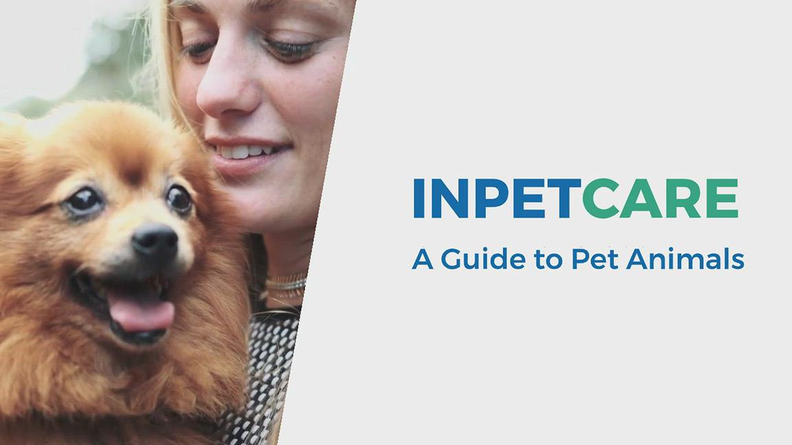 'Video thumbnail for We Love We Care for Pets'