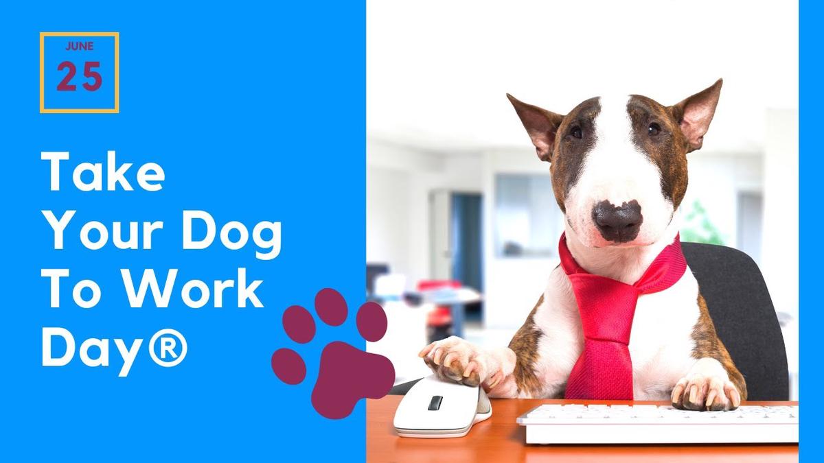 'Video thumbnail for Take Your Dog To Work Day - Do you have a dog-friendly workplace?'