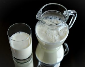 leite-cao-toxico
