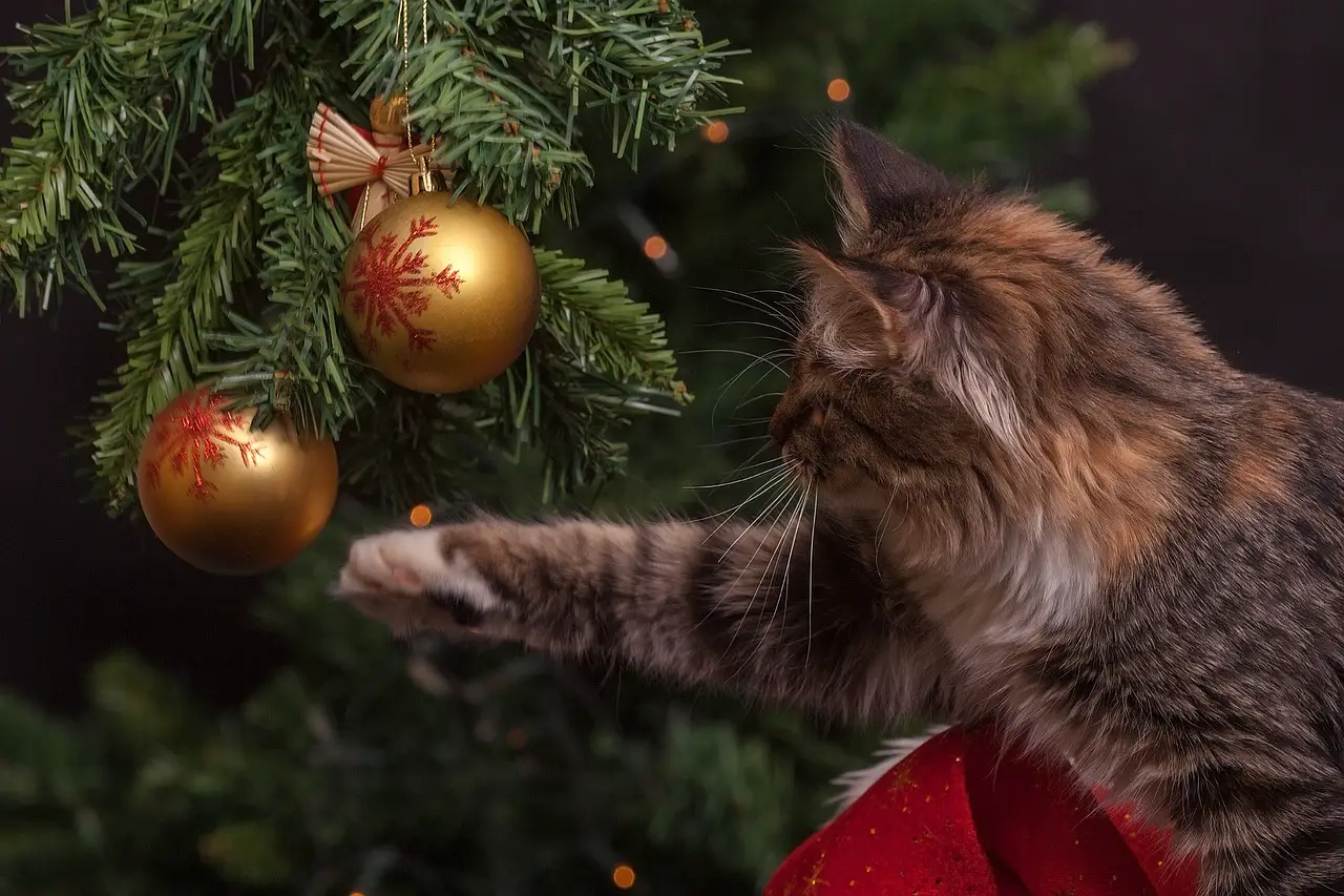 Como Montar uma Árvore de Natal à Prova de Gatos - O Meu Animal